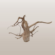 IMG_20260624_094307-removebg-preview.png