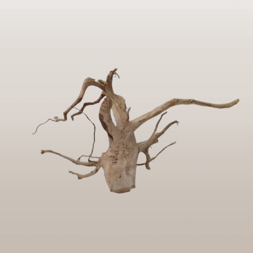 IMG_20260624_094307-removebg-preview.png