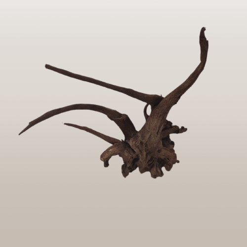 IMG_20260624_110316-removebg-preview.png