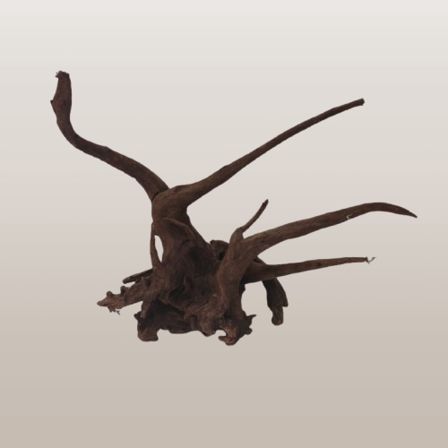 IMG_20260624_110338-removebg-preview.png
