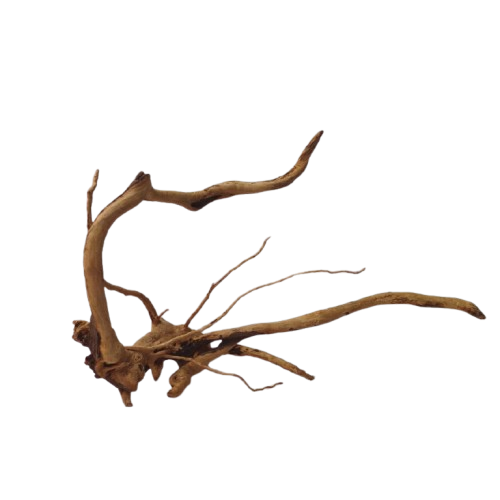 IMG_20260630_102736-removebg-preview (1).png