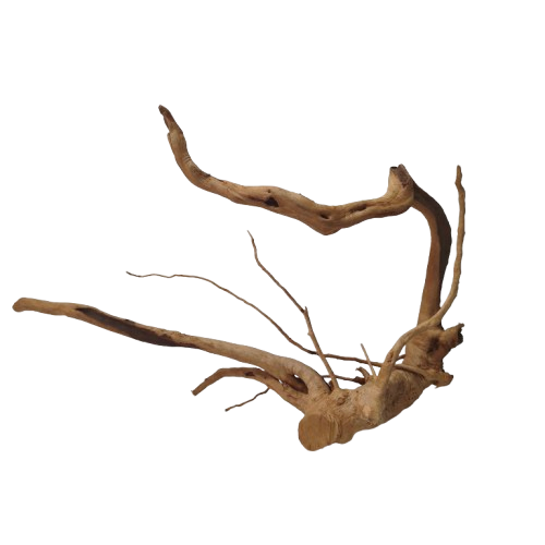 IMG_20260630_102750-removebg-preview.png