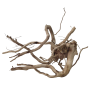 2ywbk0bhrdrmr0cz2z6sj6xdpw_preview_0-ezremove.png