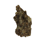ef76z9y02hrmt0cz335vs1x9mm_preview_0-ezremove.png