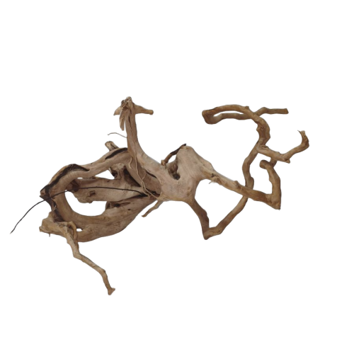 312cqe9mj1rmy0cz6ptbevmcf0_preview_0-ezremove.png