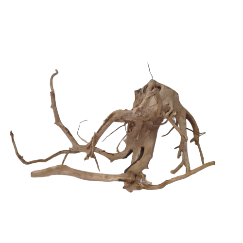 pndc2edkadrmw0cz6pxszm69y0_preview_0-ezremove.png
