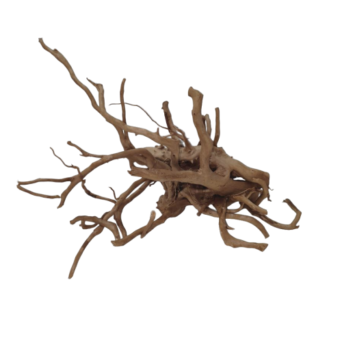 sjb562ervdrmt0cz6q1r4gfr3c_preview_0-ezremove.png
