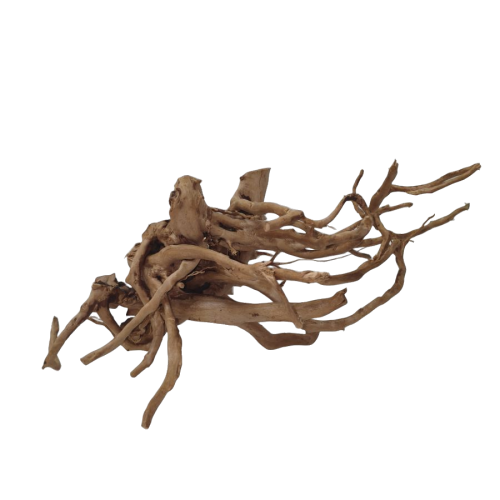 94rcgjbybxrmy0cz6q29j8mqgm_preview_0-ezremove.png