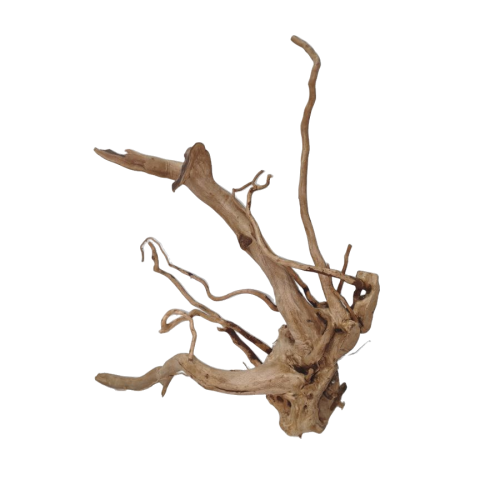 swy0k3ctmsrmr0cz6q8a51ag18_preview_0-ezremove.png