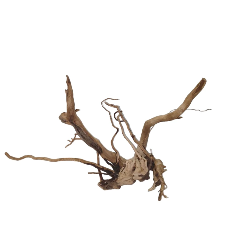 5bc2fr2amsrmy0cz6q7sa36x4w_preview_0-ezremove.png