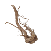 3pv85y4rnxrmt0cz6qjbjjrf0w_preview_0-ezremove.png