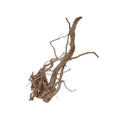 85b1fwswzxrmt0cz6qm8t0001g_preview_0-ezremove.png