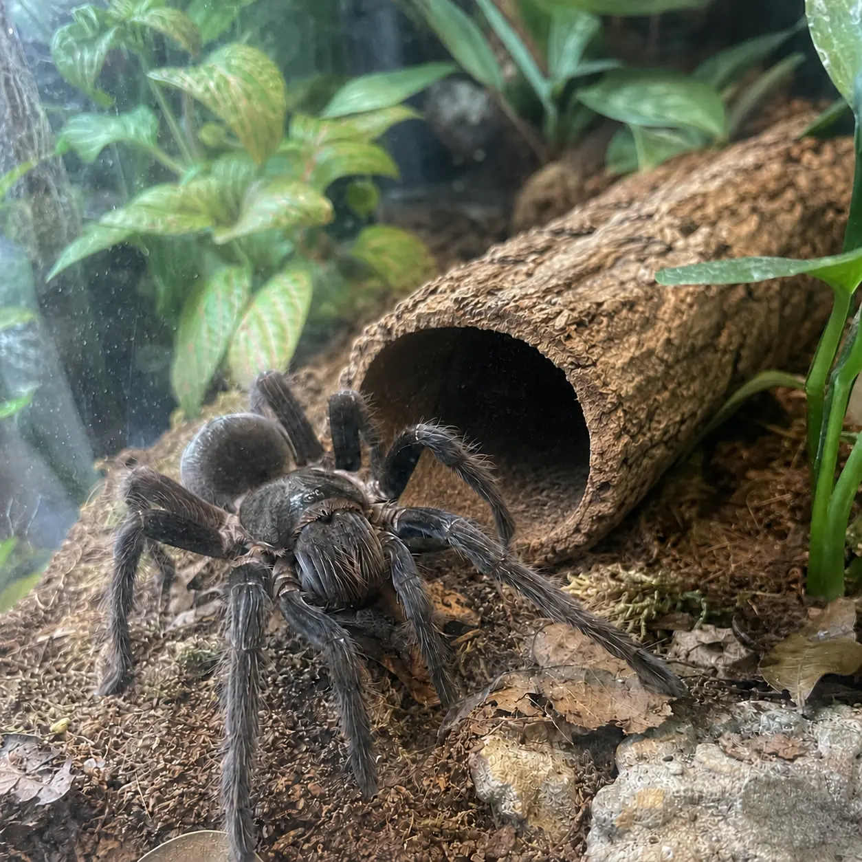 Zdjęcie aranżacji klienta